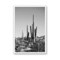 Jessica Wright Print MEDIUM / White / FULL BLEED Southwest