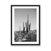 Jessica Wright Print SMALL / Black / MATTED Southwest