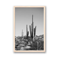 Jessica Wright Print SMALL / Natural / FULL BLEED Southwest