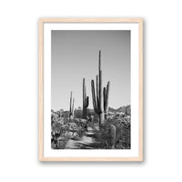 Jessica Wright Print SMALL / Natural / MATTED Southwest