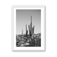 Jessica Wright Print SMALL / White / MATTED Southwest