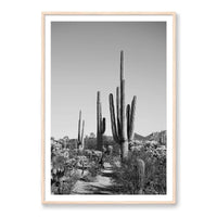 Jessica Wright Print X-LARGE / Natural / MATTED Southwest