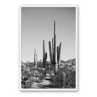 Jessica Wright Print X-LARGE / White / FULL BLEED Southwest