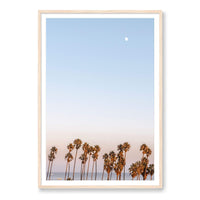 Michelle Halpern Print GALLERY / Natural / MATTED Moon Palms