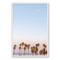 Michelle Halpern Print GALLERY / White / FULL BLEED Moon Palms