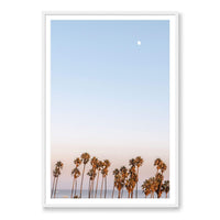 Michelle Halpern Print GALLERY / White / MATTED Moon Palms