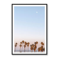 Michelle Halpern Print Large / Black / MATTED Moon Palms