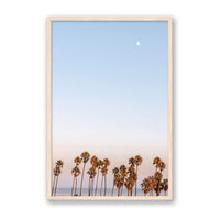 Michelle Halpern Print Large / Natural / FULL BLEED Moon Palms