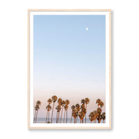 Michelle Halpern Print Large / Natural / MATTED Moon Palms