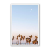 Michelle Halpern Print Large / White / FULL BLEED Moon Palms