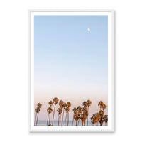 Michelle Halpern Print Large / White / MATTED Moon Palms