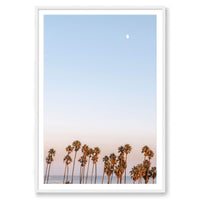 Michelle Halpern Print STATEMENT / White / MATTED Moon Palms
