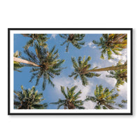 Salty Luxe Print GALLERY / Black / MATTED Coconut Palms