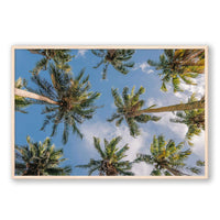 Salty Luxe Print GALLERY / Natural / FULL BLEED Coconut Palms