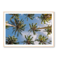 Salty Luxe Print GALLERY / Natural / MATTED Coconut Palms
