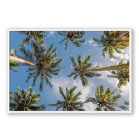 Salty Luxe Print GALLERY / White / FULL BLEED Coconut Palms