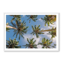 Salty Luxe Print GALLERY / White / MATTED Coconut Palms