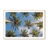 Salty Luxe Print Large / Natural / MATTED Coconut Palms