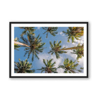 Salty Luxe Print MEDIUM / Black / MATTED Coconut Palms