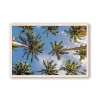 Salty Luxe Print MEDIUM / Natural / FULL BLEED Coconut Palms