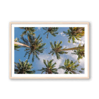 Salty Luxe Print MEDIUM / Natural / MATTED Coconut Palms