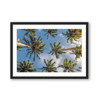 Salty Luxe Print SMALL / Black / MATTED Coconut Palms