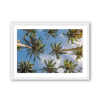 Salty Luxe Print SMALL / White / MATTED Coconut Palms