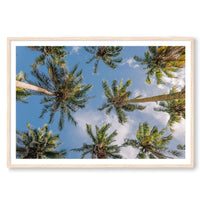 Salty Luxe Print STATEMENT / Natural / MATTED Coconut Palms
