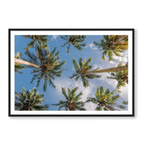 Salty Luxe Print X-LARGE / Black / MATTED Coconut Palms