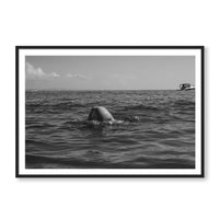 Troy Freyee Print Large / Black / MATTED Morning Dip