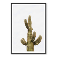 Wesley and Emma Print GALLERY / Black / MATTED Saguaro