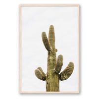 Wesley and Emma Print GALLERY / Natural / FULL BLEED Saguaro