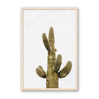 Wesley and Emma Print Large / Natural / FULL BLEED Saguaro
