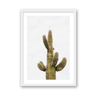 Wesley and Emma Print SMALL / White / MATTED Saguaro