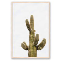 Wesley and Emma Print STATEMENT / Natural / FULL BLEED Saguaro