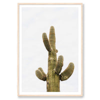 Wesley and Emma Print STATEMENT / Natural / MATTED Saguaro