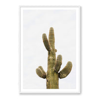 Wesley and Emma Print X-LARGE / White / MATTED Saguaro